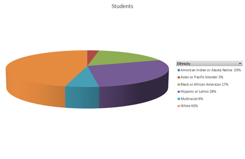 Student Diversity 